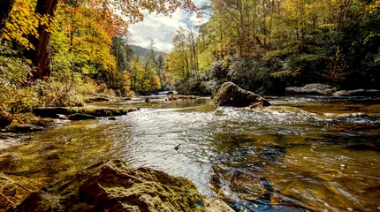 Poster Een prachtige bergrivier in het westen van Noord-Carolina, VS, in de herfst met de herfstkleuren. © Joe