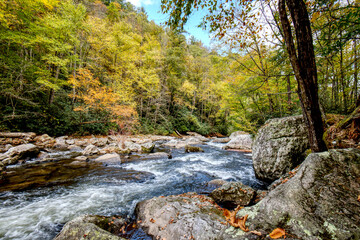 A stream flowing through the mountains of North Carolina, USA, in the fall.