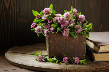 Red clover blossoms on wooden rustic background, herbal plant is used as immune, antioxidant, in cosmetics, closeup, naturopathy and natural medicine concept