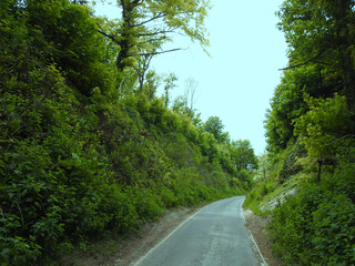 View of the narrow road uphill in mountainous terrain with green vegetation