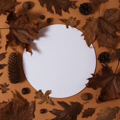 Autumn leaves on brown ocher background with round white backdrop. Minimal season design. Creative...