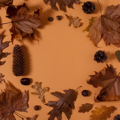 Autumn leaves on brown ocher background. Minimal season design. Creative frame composition.