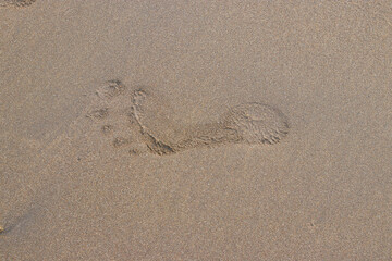 Close-up view of single footprint on sands in the beach to illustrate loneliness and single person