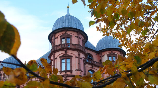 Blick durch Herbstbäume auf die Westseite des Schloss Gottesaue in Karlsruhe