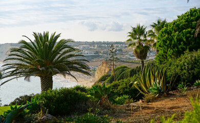 Fototapeta premium Garden on the cliffs of Porto de Mos late afternoon. Algarve Portugal.