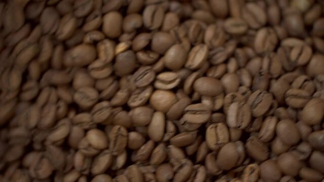 Close view of fresh coffee beans drying and roasting inside automatic equipment in factory spbas. Shot of brown arabica seeds is rotated and roasted inside metal automatic container operating in