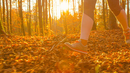 LOW ANGLE: Golden fall evening sunbeams shine on female jogger exploring woods.