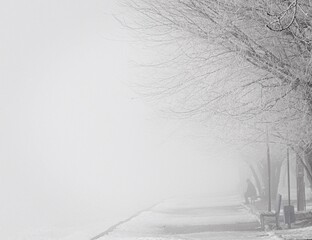 
Winter and fog