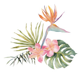 Strelitzia, plumeria, monstera, palm leaf. Watercolor Hand drawn botanical illustrations composition. Isolated on white background. Summer beach print. For design, textiles, wear.