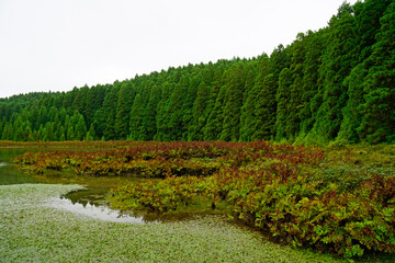 Canary Lagoon on the Azores Islands