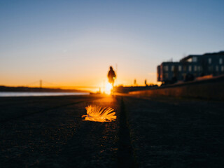 Silhouette of single woman going to sunset and tall bridge leaving behind a bird feather