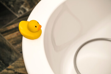 Yellow duck on the corner of white round bathtub in luxury bathroom
