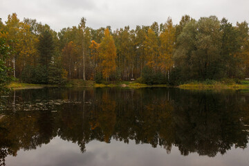 Golden autumn in Moscow area, Russia. Lake and yellow trees