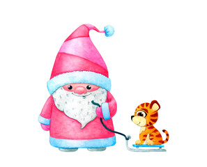 A Scandinavian gnome dressed as Santa Claus is carrying a tiger on a sled. Christmas watercolor illustration isolated on white background. - obrazy, fototapety, plakaty