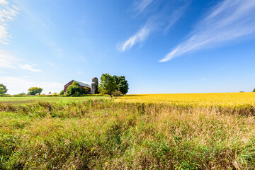 Old barn in a farm field under blue sky with white clouds in rural area in Ontario, Canada