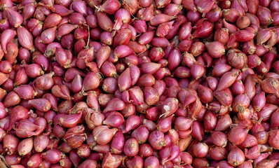 Red onions - Large quantities of red onions in the basket