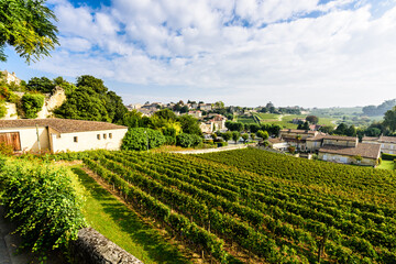 Fototapeta na wymiar Vineyard on bright summer day under blue sky with white clouds in Saint Emilion area, Bordeaux, France