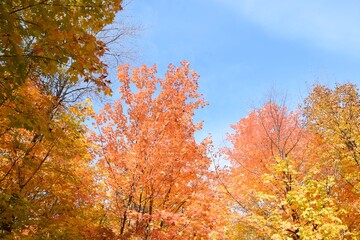 St Agapit-Levis in Autumn season