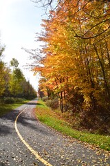 Obraz premium St Agapit-Levis in Autumn season