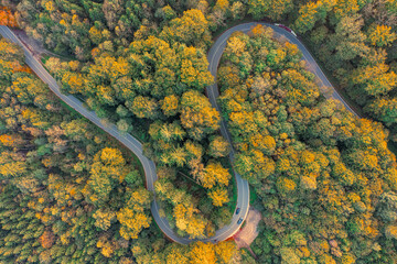 Top down view at a autumnal forest with a double curve and driving automobiles.
