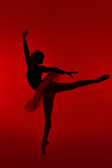 Beautiful ballerina on red background dancing ballet. Woman performs smooth movements. Sensual...