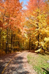 St Agapit-Levis in Autumn season