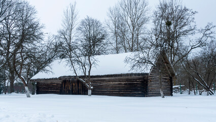 Beautiful winter nature background. Rural landscape with an old barn. Thatched roof barn covered in snow in winter.