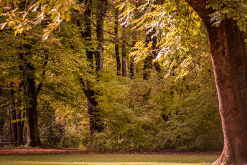 Herbst in der Stadft 