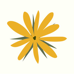 Tropical flowers collection. Vector isolated elements on the white background.