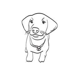Fototapeta premium smiling puppy dog illustration vector isolated on white background line art.