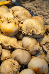 The sheep stomach dumpling, a kind of local food in Xinjiang, China. People put sheep purtenance pieces into the stomach and make it dumplings.