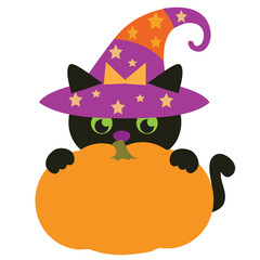 Halloween black cat and pumpkin vector cartoon illustration