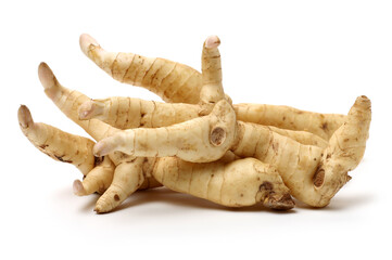 Polygonatum sibiricum on white background