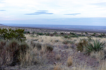 landscape in the desert