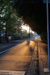 道　道路　夕暮れ　