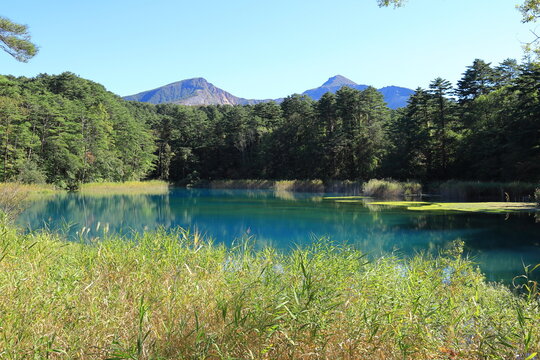 五色沼湖沼群images Browse 271 Stock Photos Vectors And Video Adobe Stock 五色沼湖沼群images Browse 271 Stock Photos Vectors And Video Adobe Stock