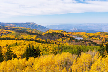 Aerial view of autumn, falls colors of Grand Mesa National Forest from overlook at Scenic Byway...