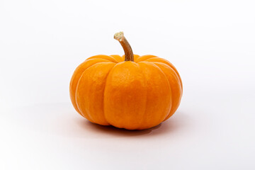 orange pumpkin isolated on white background. Pumpkins are widely grown for commercial use and as food, aesthetics, and recreational purposes. Much consumed on Thanksgiving Day and Halloween decoration
