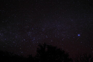 アフリカマサイの星空