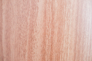 Obraz premium wood texture background