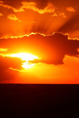 アフリカマサイの夕日