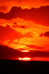 アフリカマサイの夕日