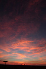 アフリカマサイの夕日