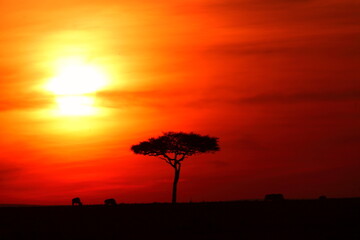 アフリカマサイの夕日