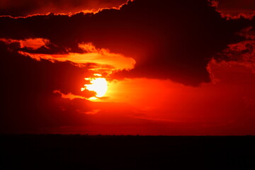 アフリカマサイの夕日
