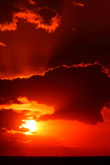 アフリカマサイの夕日