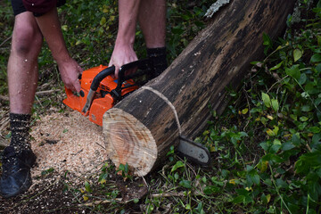 An orange chainsaw cuts through a log lying on the ground