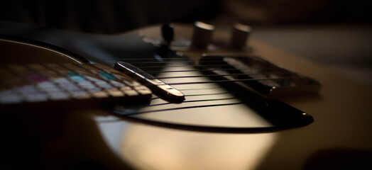 Telecaster Detail 2