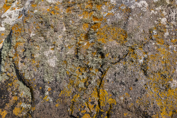 Granit stone with lichen on a beach on Brittany, natural background
