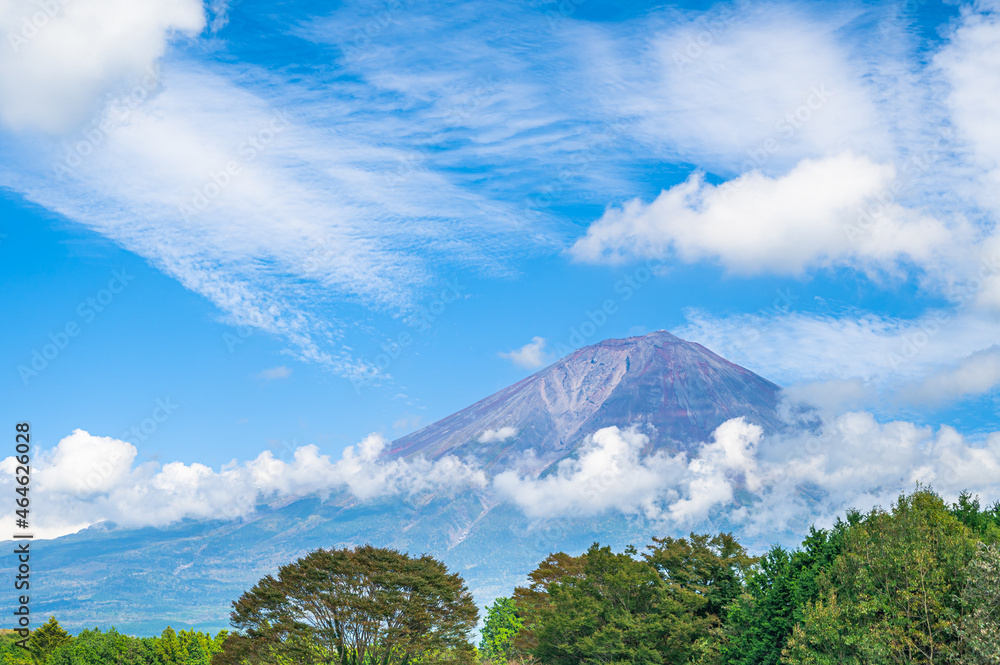 Poster 白糸の滝から見た富士山